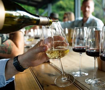 riverland-wineries4